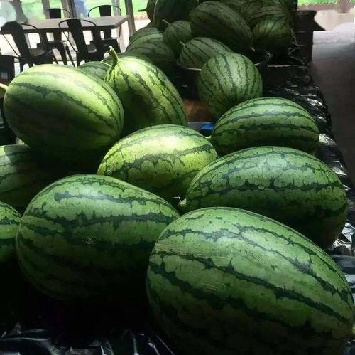 吃瓜放送7,揭秘娱乐圈幕后故事，带你领略明星真实生活