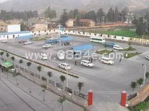 驾校教练吃瓜事件