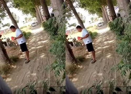 拍到路边吃瓜