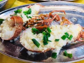 觅食吃瓜