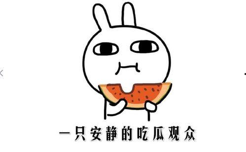 一个会吃瓜的吃瓜群众,揭秘吃瓜群众的趣味生活