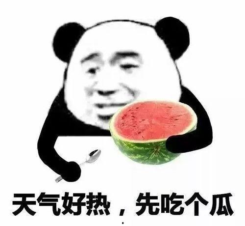 吃瓜吃得好,畅享美味，尽享生活乐趣