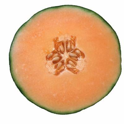 吃萝卜可以吃哈密瓜吗