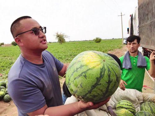 闫永强吃瓜,揭秘娱乐圈背后的真相
