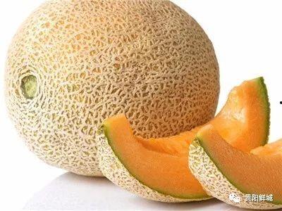 莎拉吃哈密瓜