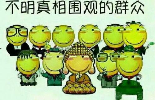 吃瓜群众经典语言,揭秘娱乐圈那些事儿